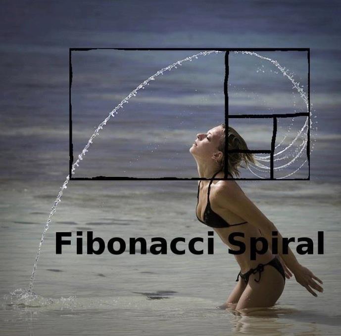 Fibonači spirāle